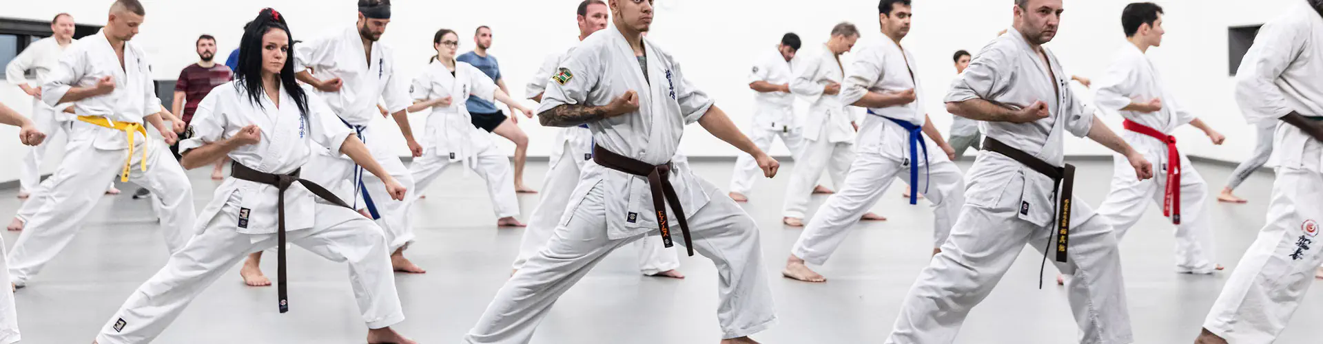 EMAR Staines Martial Arts Academy