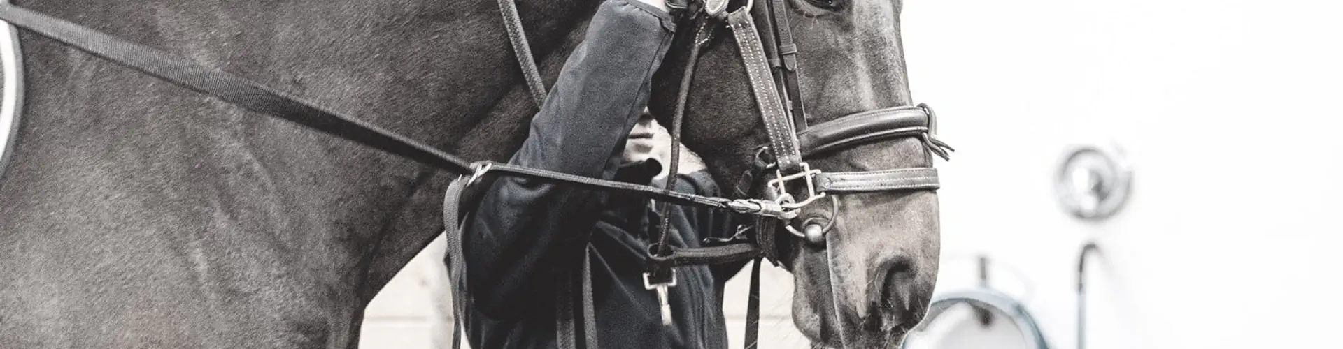 Centre Equestre Notre-Dame Inc