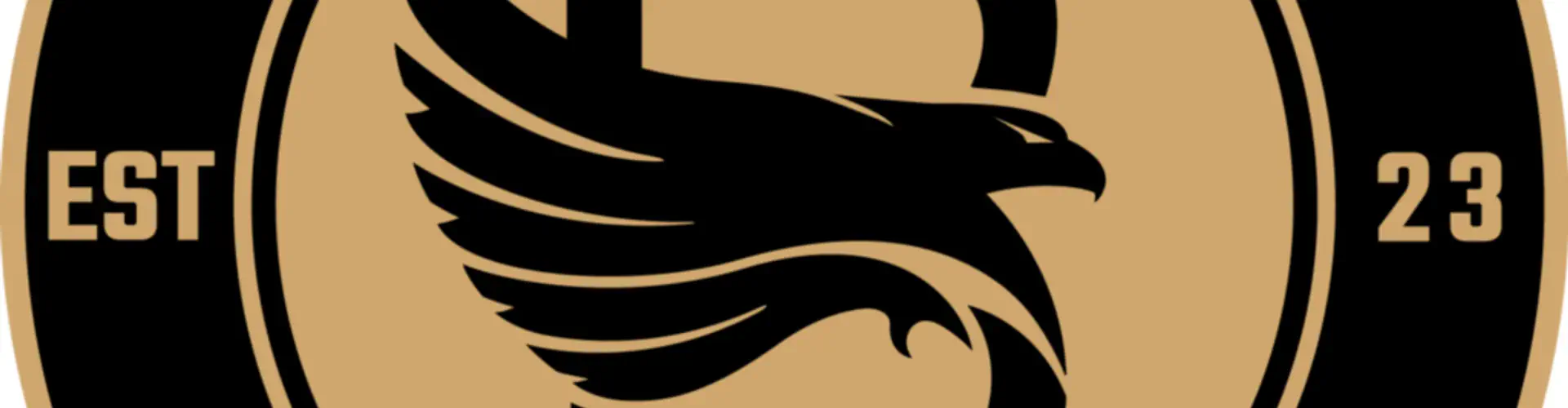 Metro Women's Soccer League Co