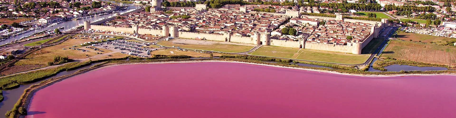 Bateau Iris - croisière en camargue