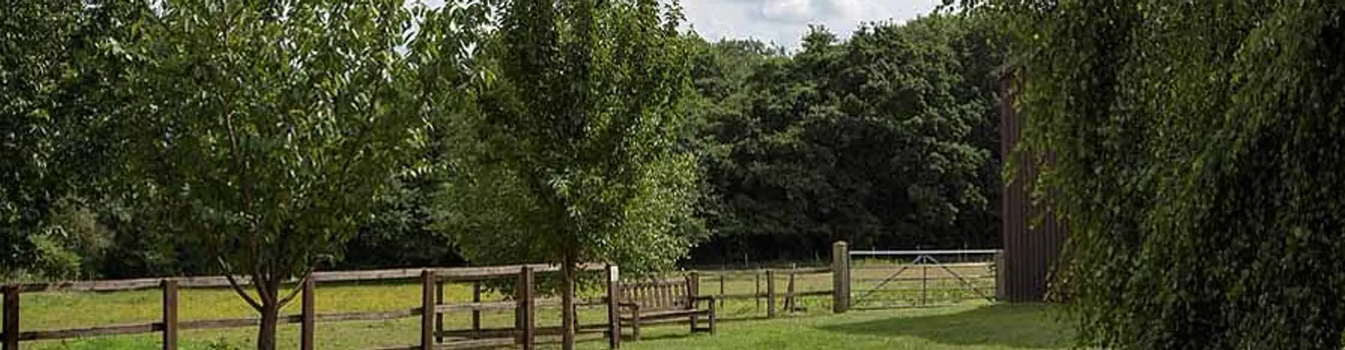 Eden Meadows Riding Centre