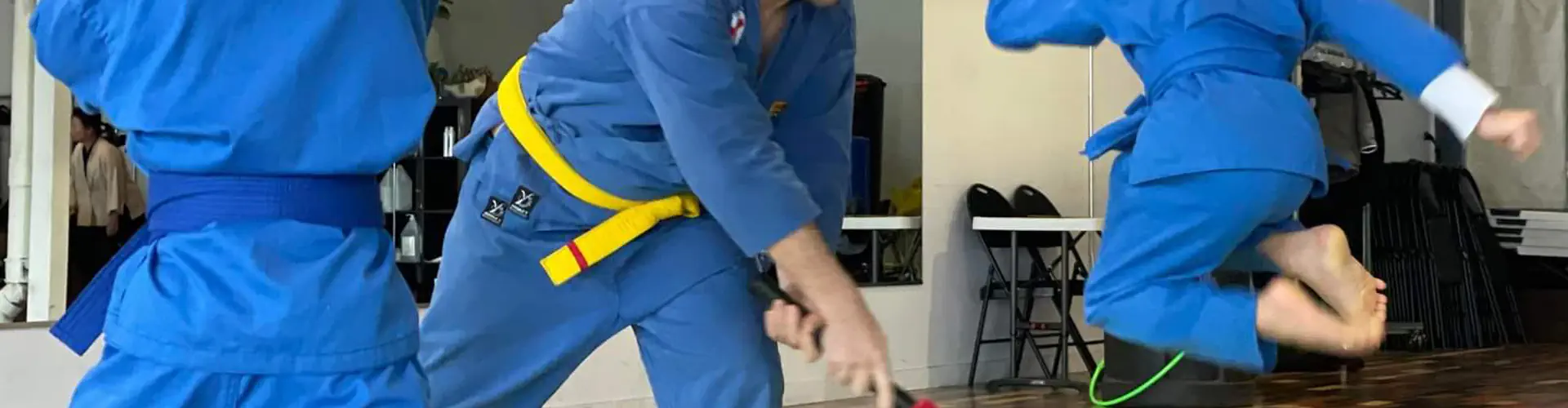 Vovinam Montral Vvnl