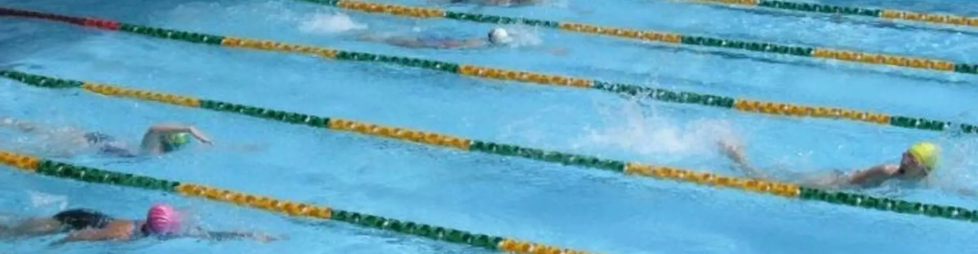 The Everton Park Sharks Swimming Club