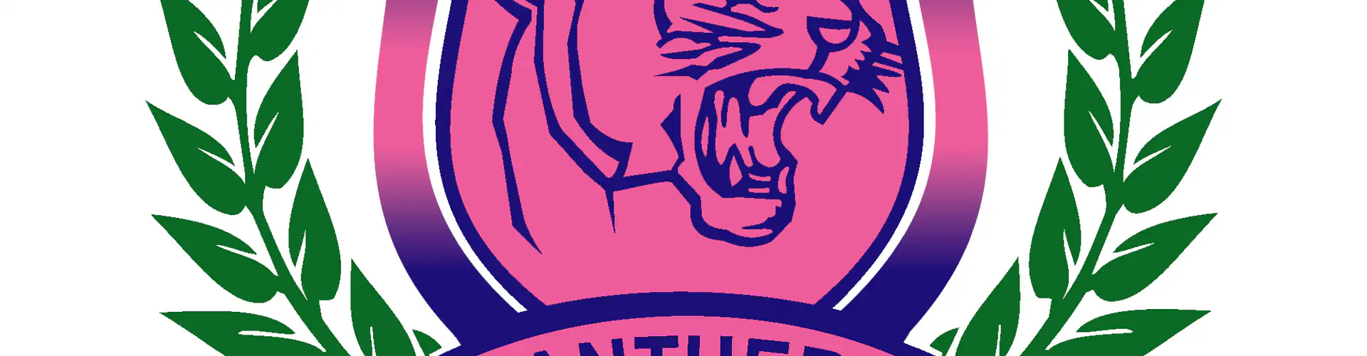 Exeter Panthers AFC