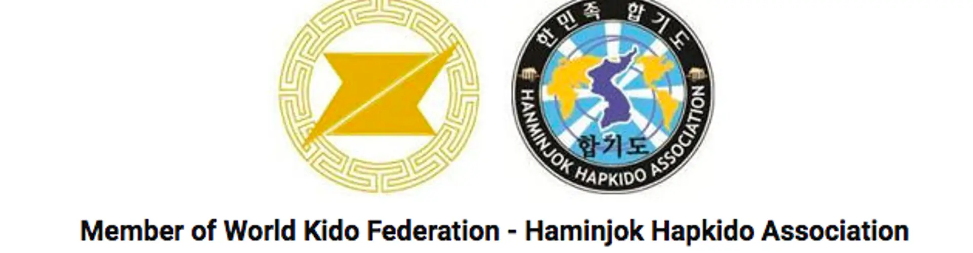 Manawatu Hapkido Palmerston North ADULT CLASSES