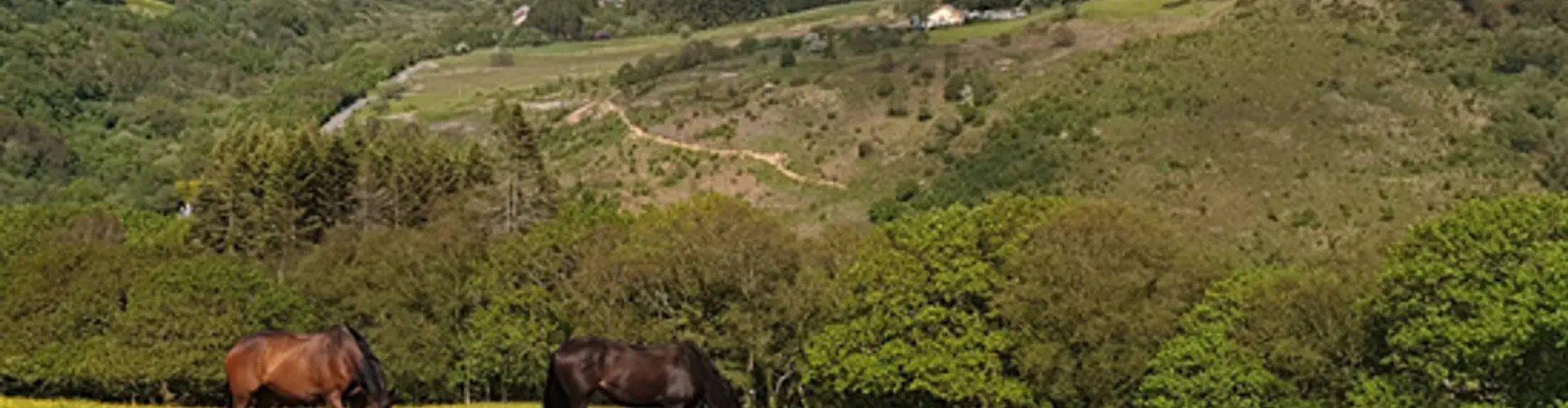 Cimla Equestrian Centre