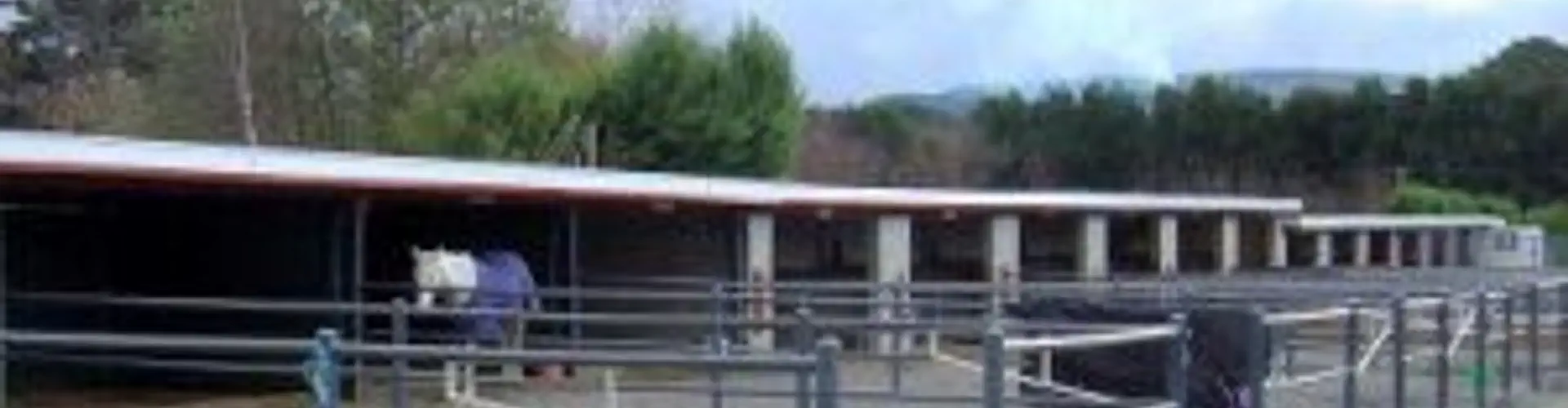 Thompsons Riding School