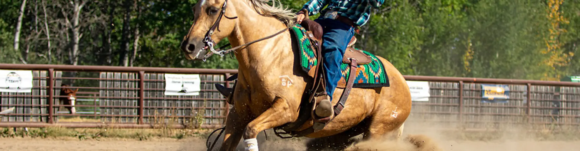 Northern Alberta Reining Horse Assoc.