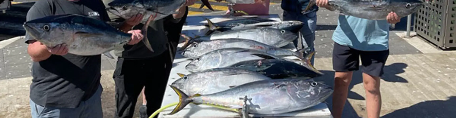 Tuna Fishing Charters Portland