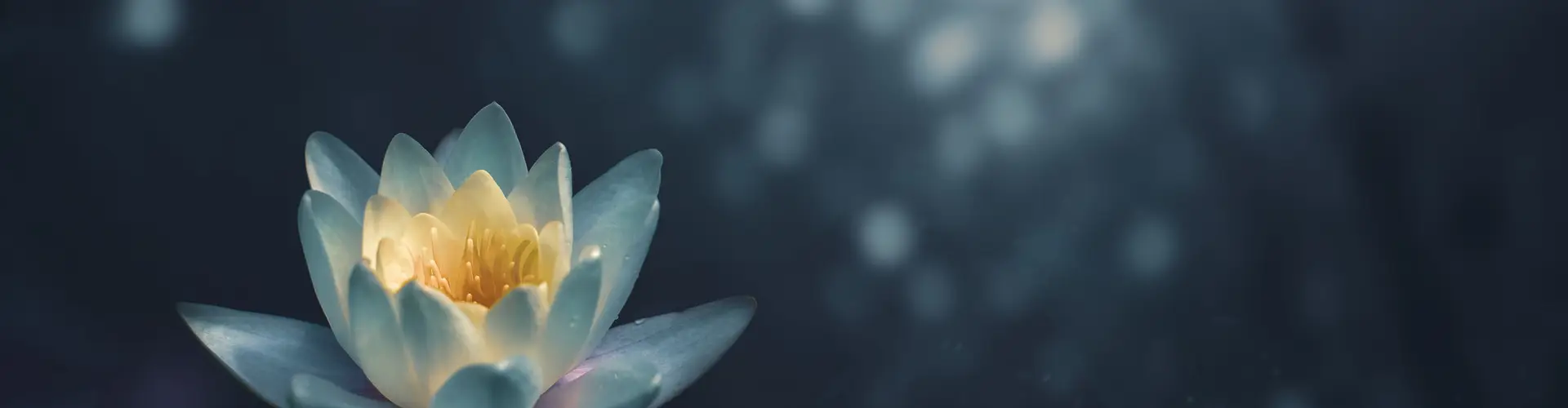 Alchemy Yoga Pembrokeshire Body, Mind & Beyond