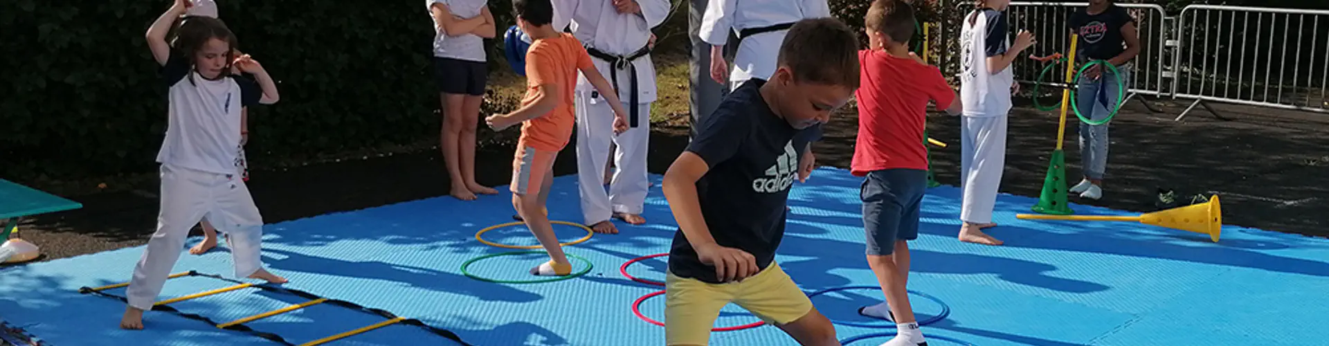 Ippon Shotokan Karate-do