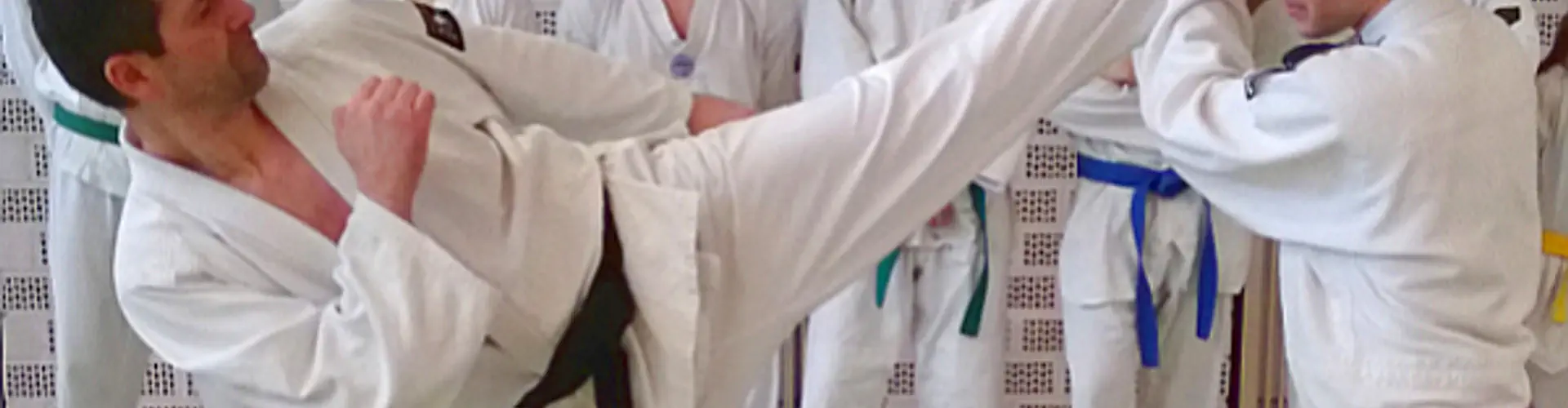 Hosinsul - Allkampf-Taekwondo in Augsburg