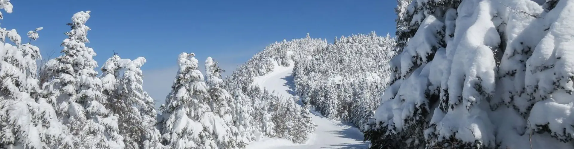 Bytown Ski Club
