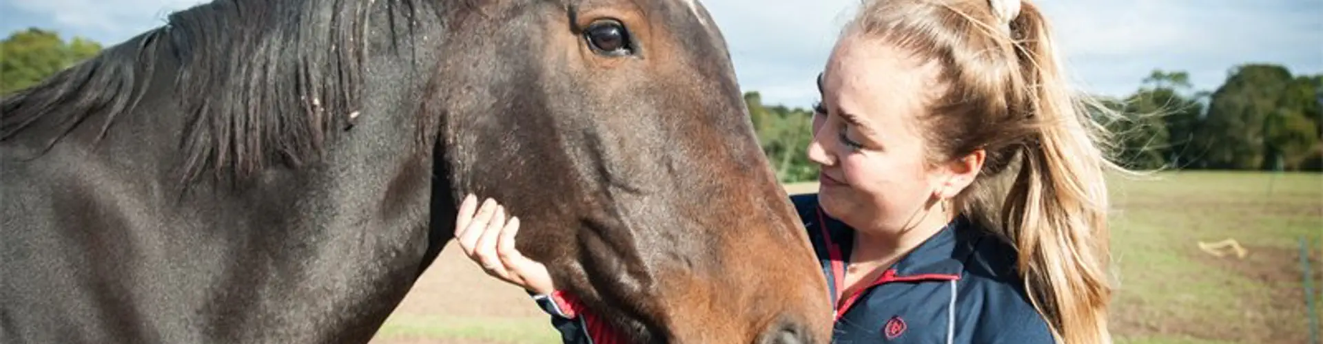 Apples Equestrian