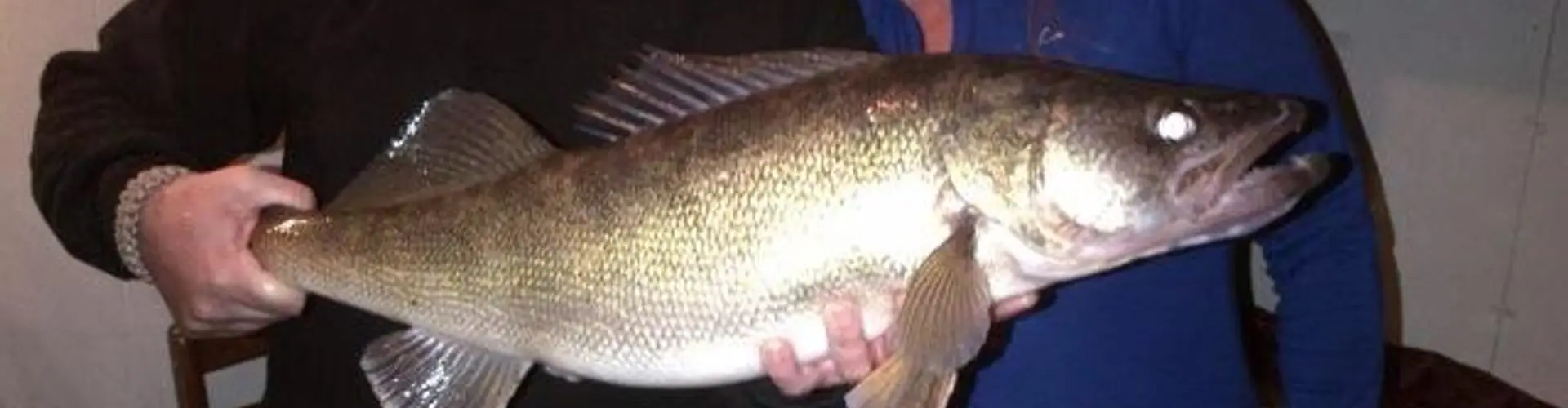 Lake Nipissing Ice FIshing Charters