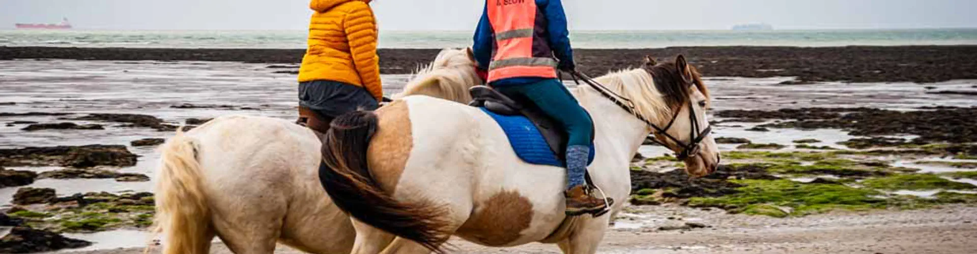 Sally's Riding School