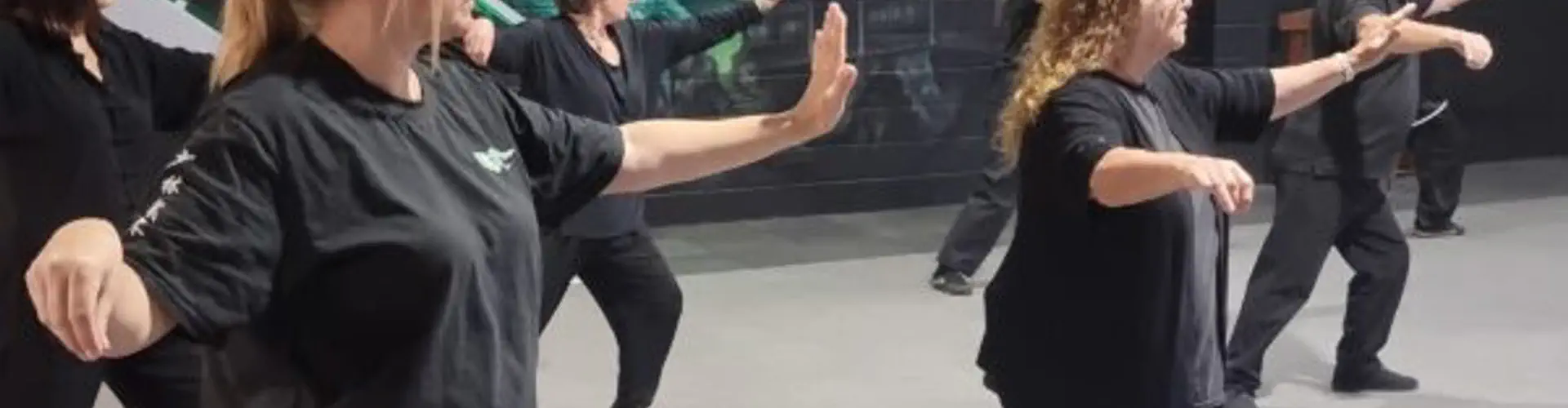 Tai Chi Beginners Course May 2024