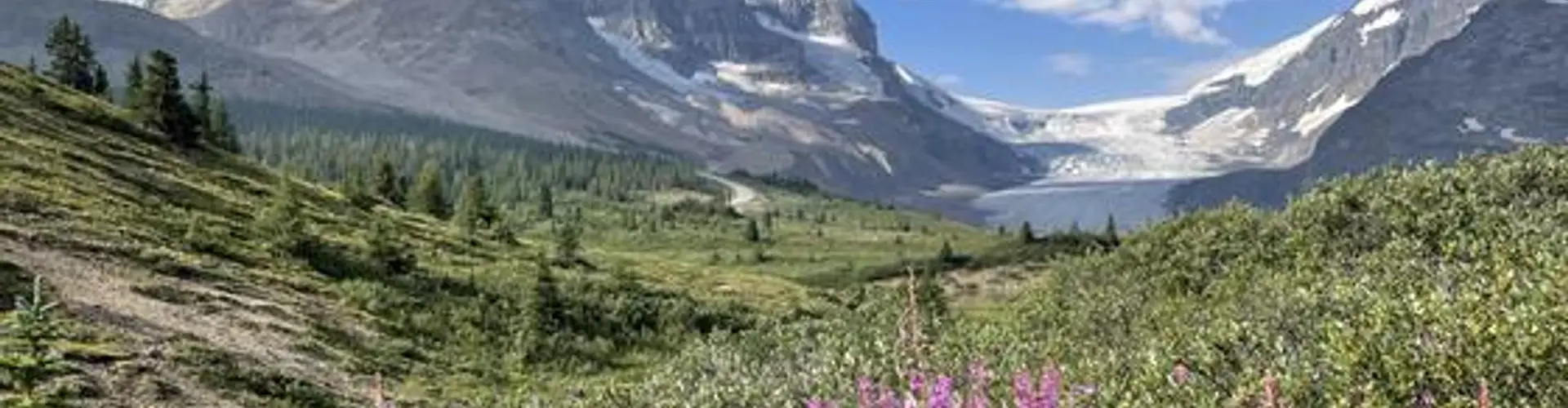 Ice to Water Package Glacier Icewalk White Water Rafting Package