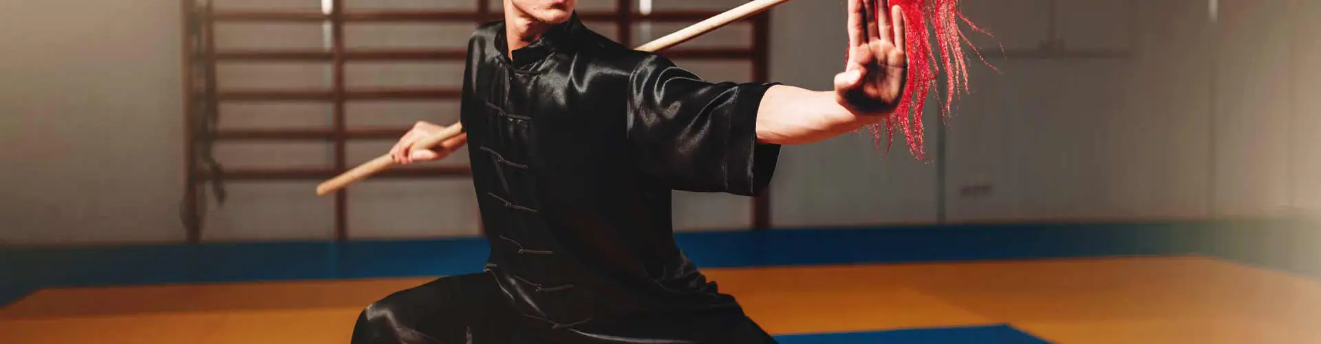 Martial Arts School, Shaolin Kung-Fu, Wing Chun Kung-Fu,Tai Chi, Qi Gong,