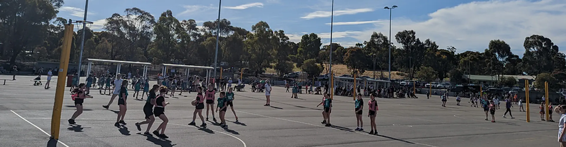 Bendigo Strathdale Netball Association (BSNA)