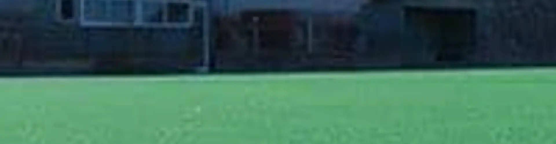The Sporting Globe Stadium Turf