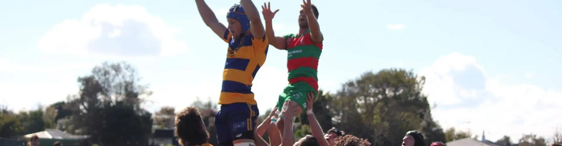 Waiuku District Rugby Football Club