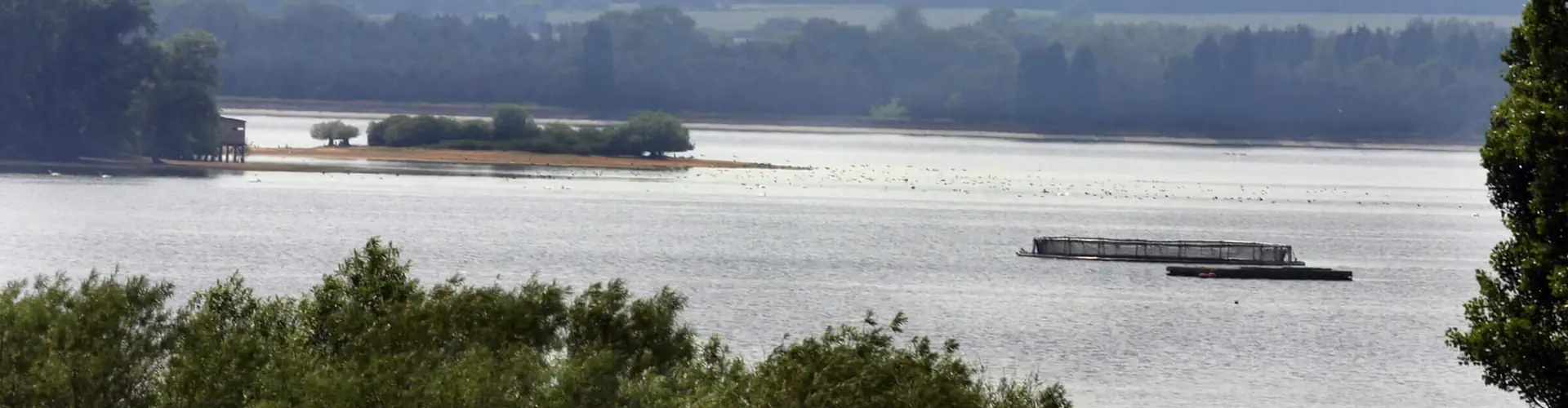 Hanningfield Waterside Park