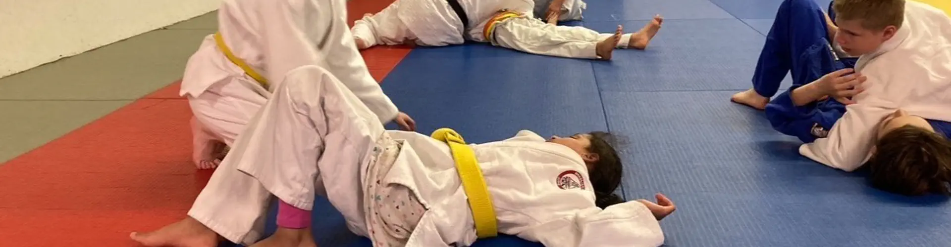 Kohbukan Sisu Judo & Jiu Jitsu Club