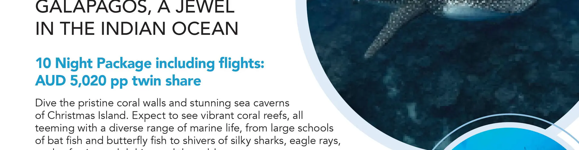 Cook Island Double Boat Dive