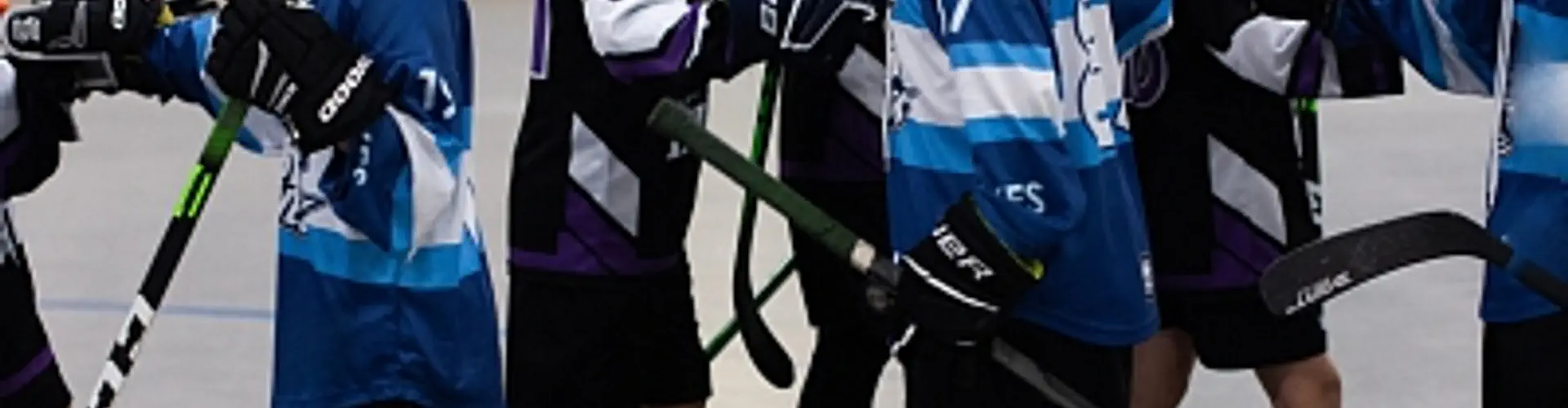 2024 Spring Ball Hockey Season Registration