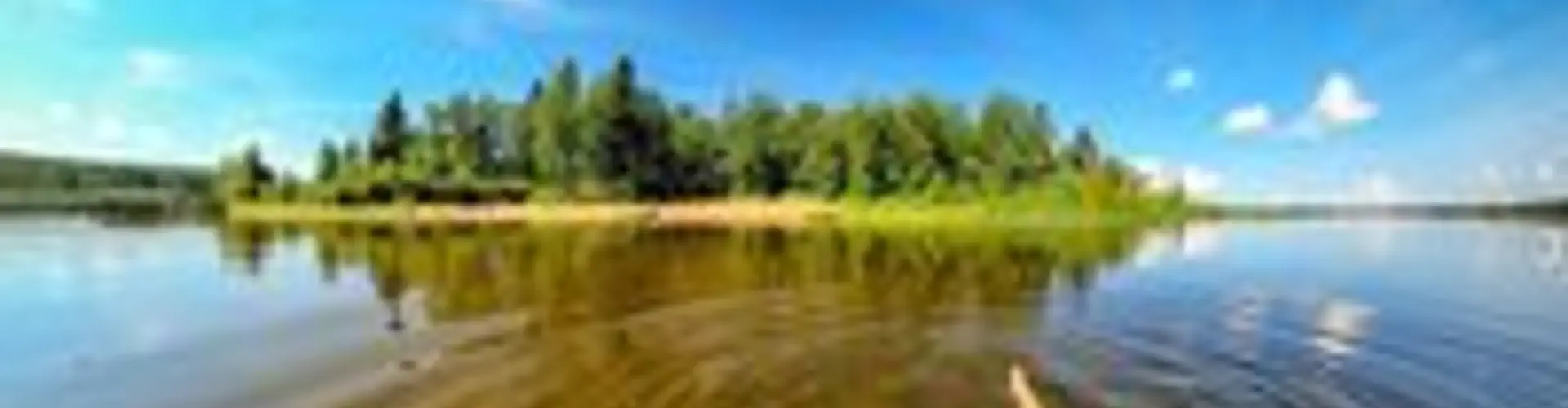 Great Blue Heron- Anglin Lake Beach