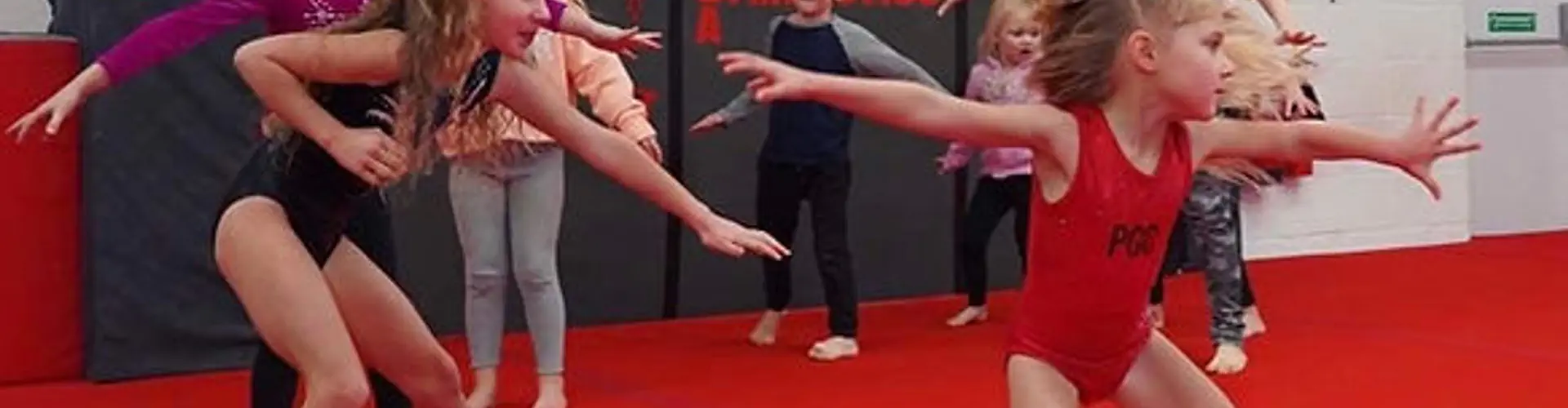 Performers Gymnastics Academy Ltd