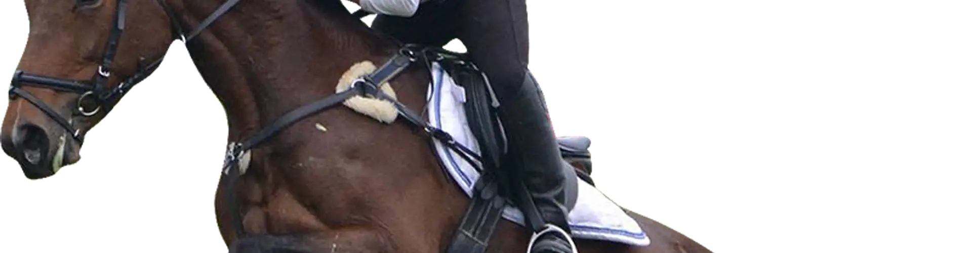 Berry Riding Club