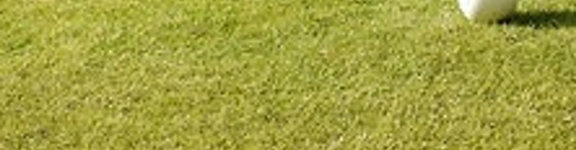 Woodcock Park Bowls Club