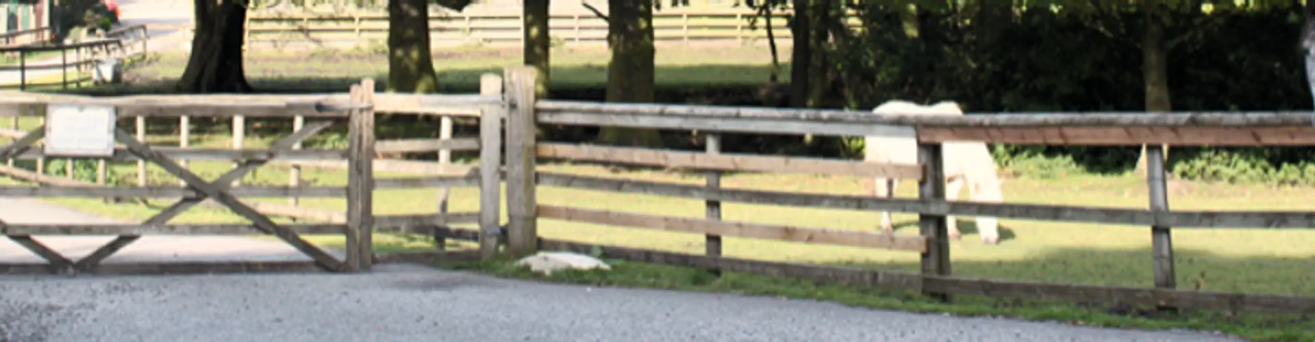 Burrows Lane Farm