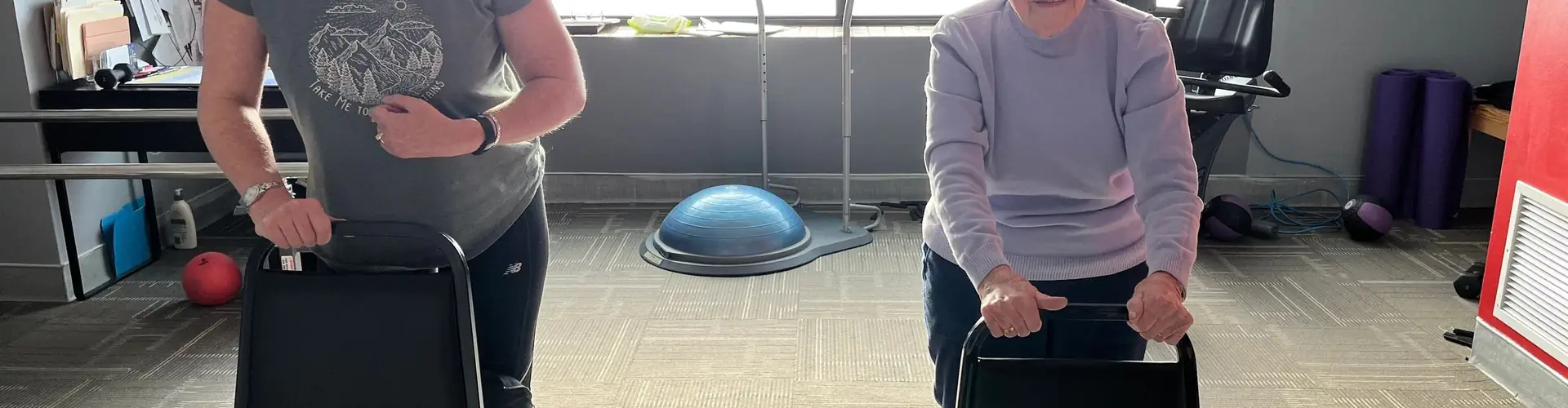 Bee Wellness Older Adult Fitness and Rehab Therapy