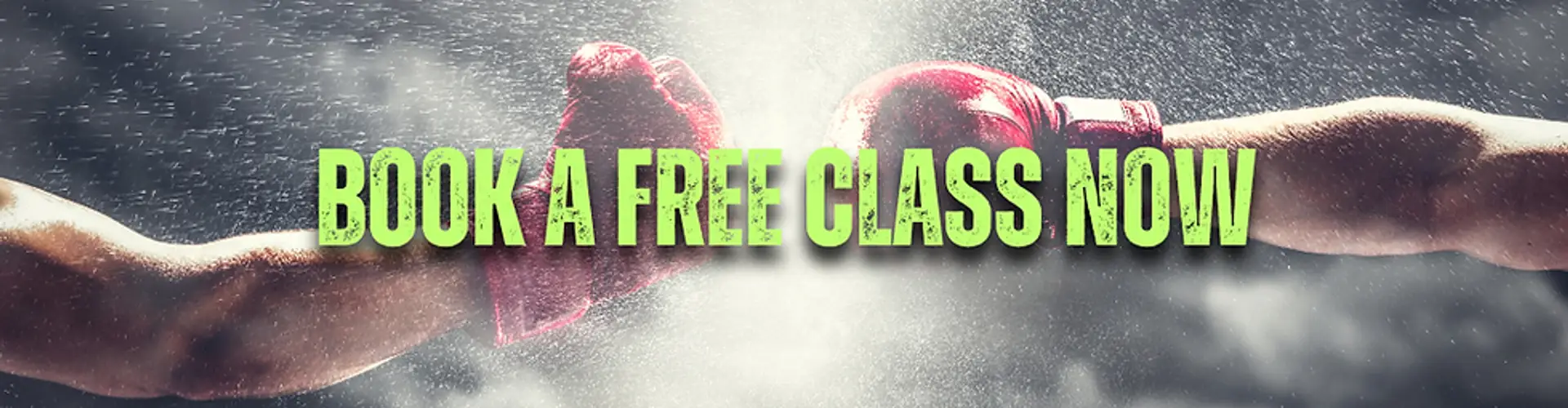 Spitfire Boxing & Kickboxing