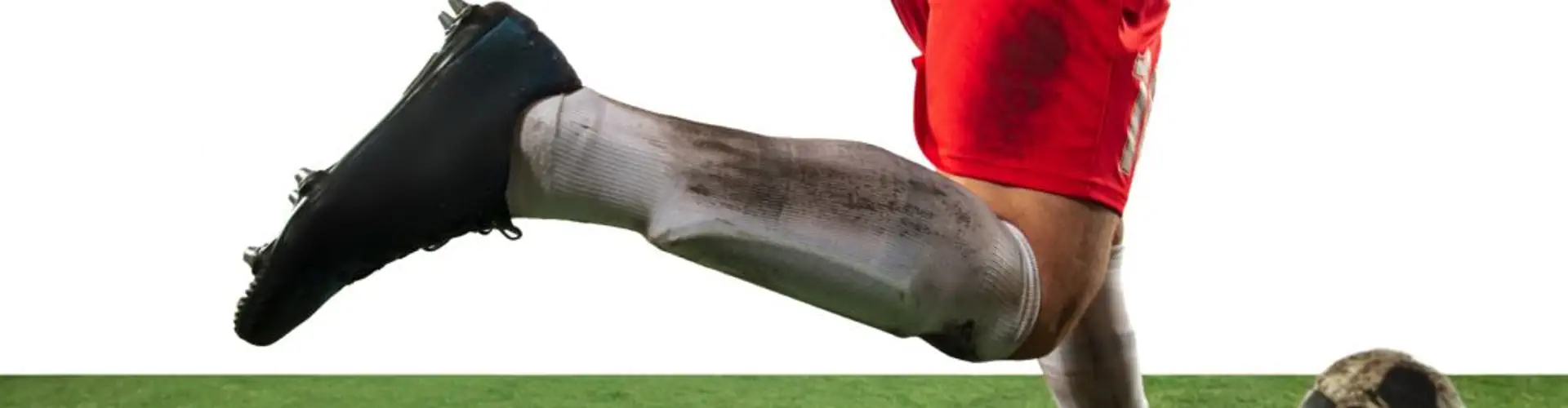 CharisTurf
