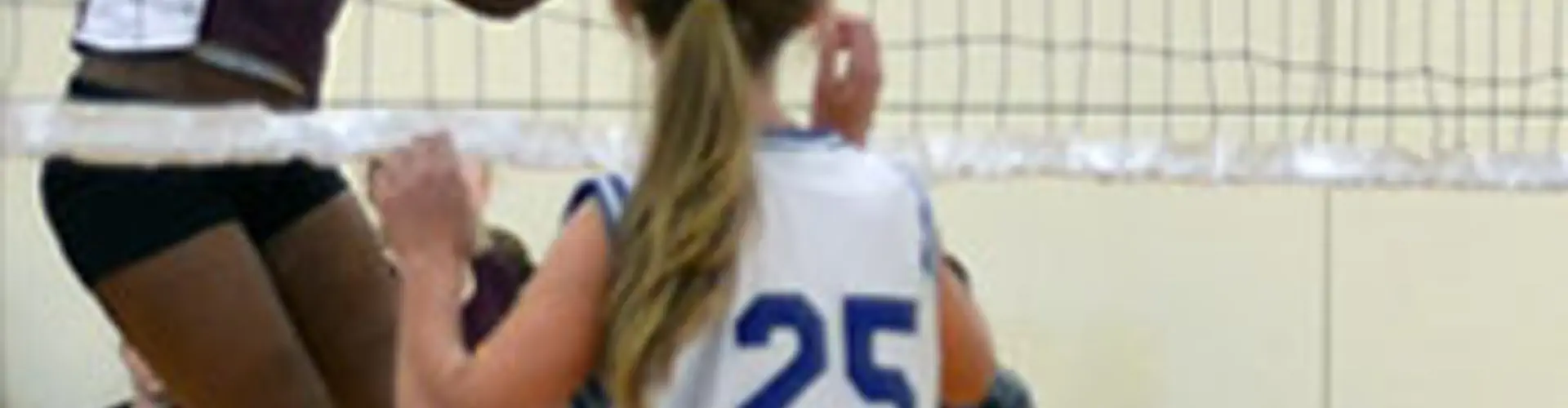 Northern Volleyball League