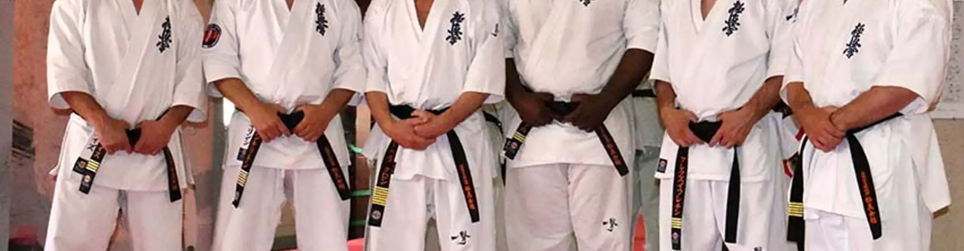 Karaté Kyokushinkai