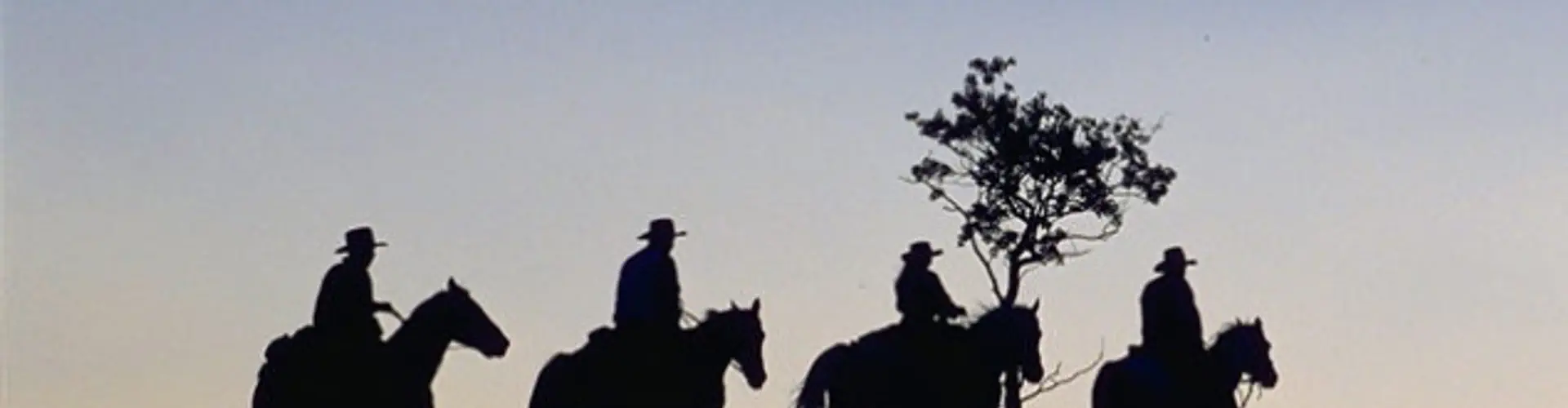 Outpost Escape Horseback Vacation Packages