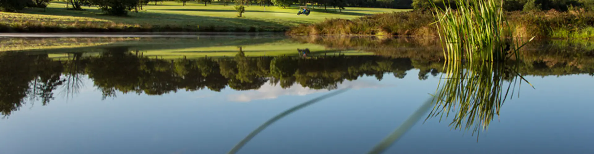 Foyle Golf Driving Range