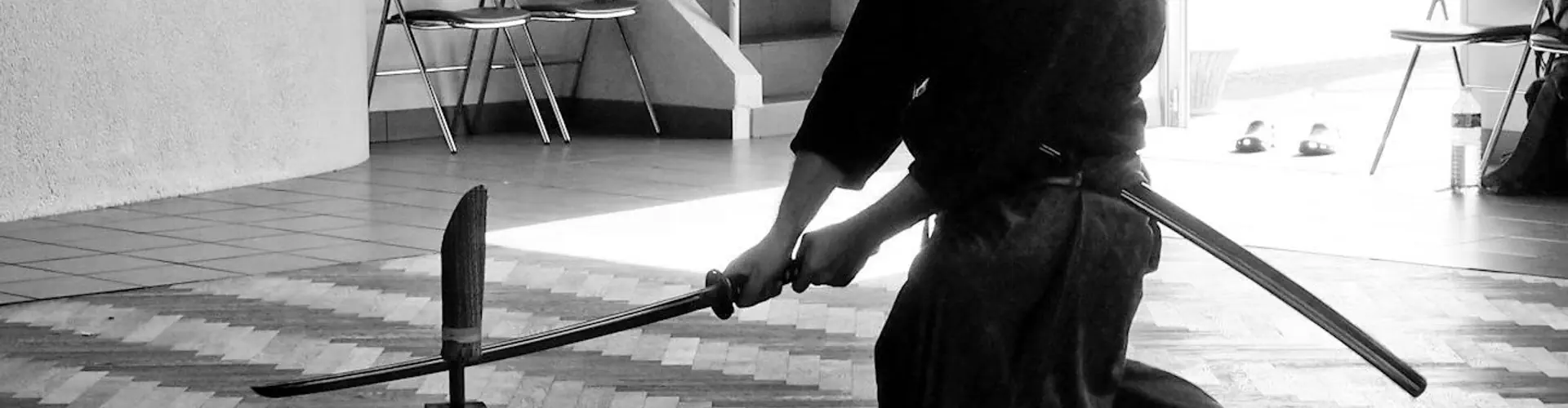 Kenshikai, Cercle D'escrime Japonaise