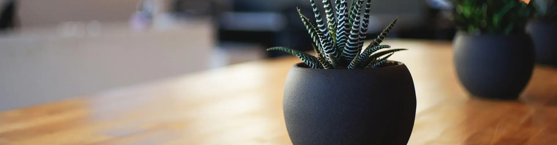 Aquagolfe - Aquatic Center Vannes Agglo