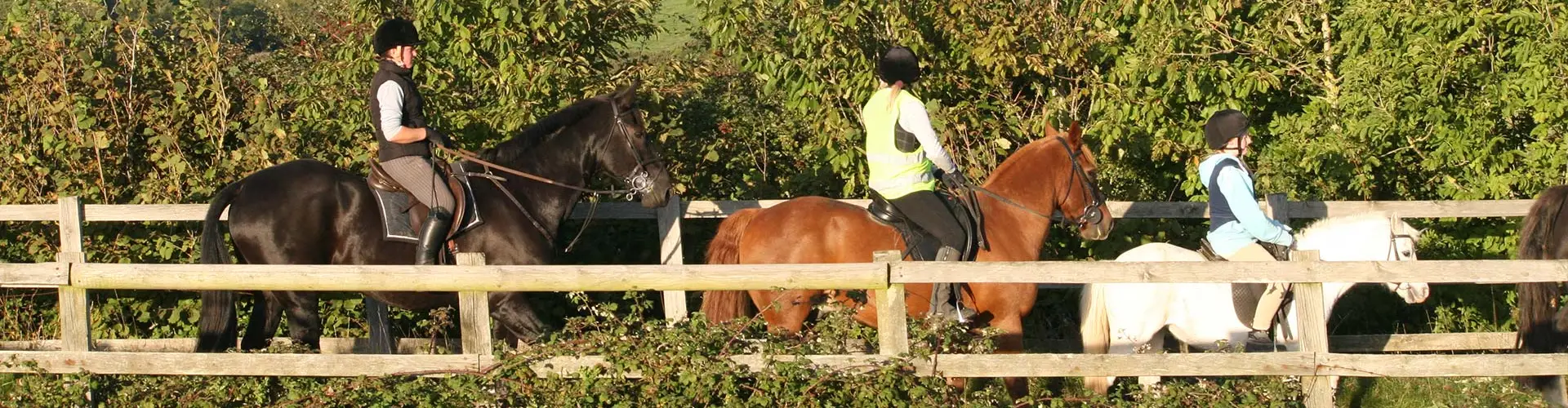 Rosewall Equestrian