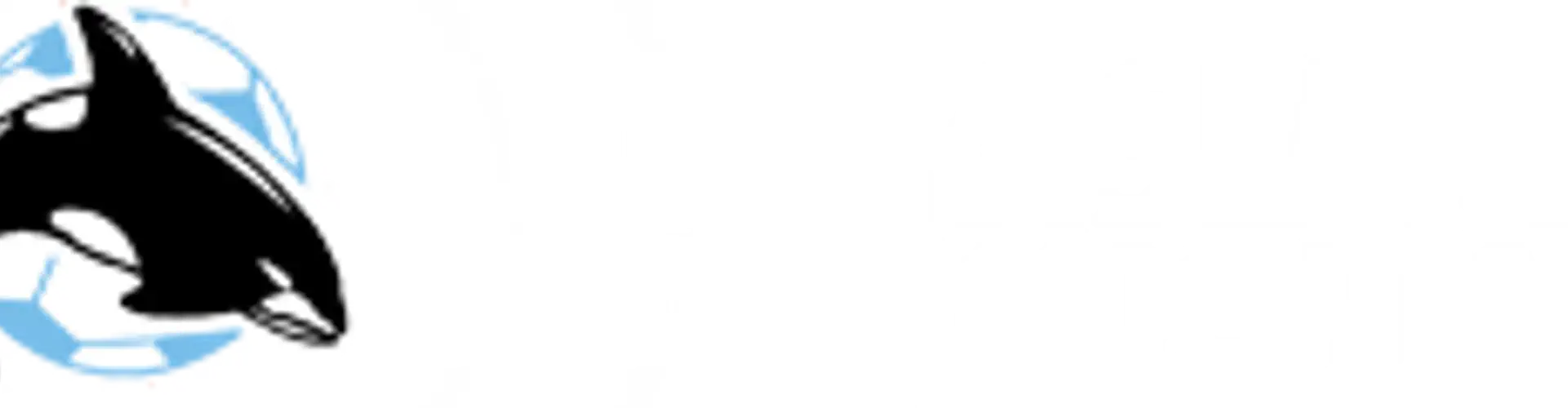 Lower Island Soccer