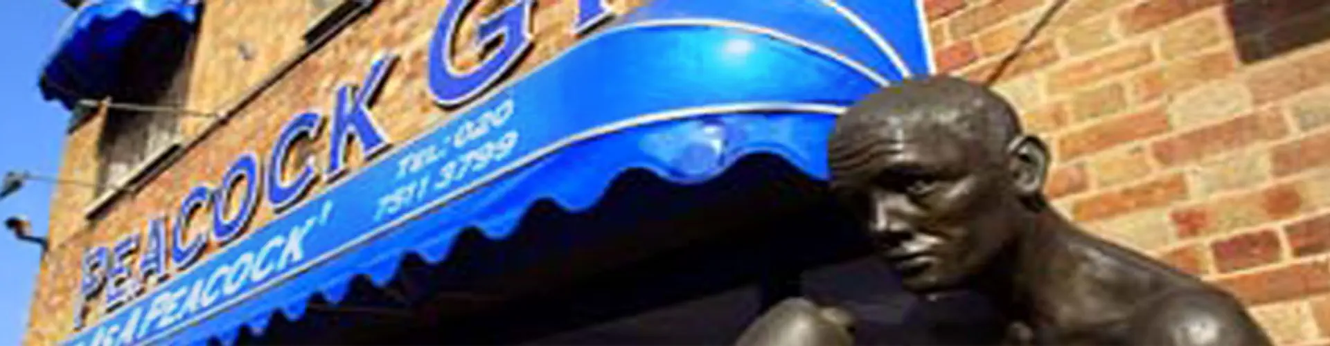 Peacock Gymnasium