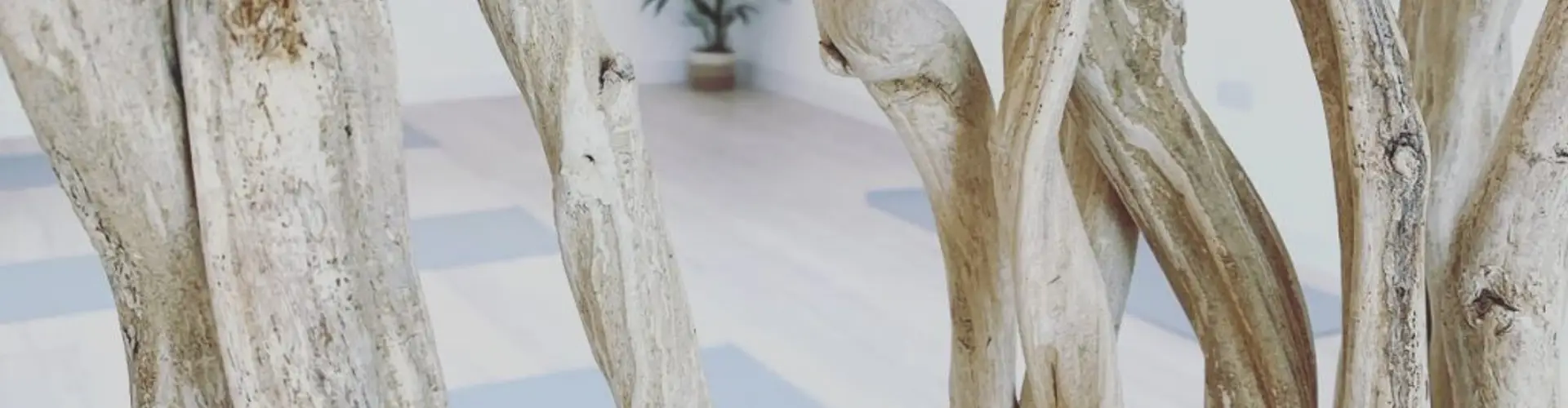 The Yoga Collaboration