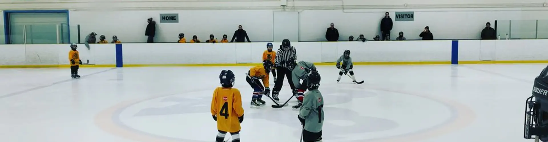 Winter Skating Party