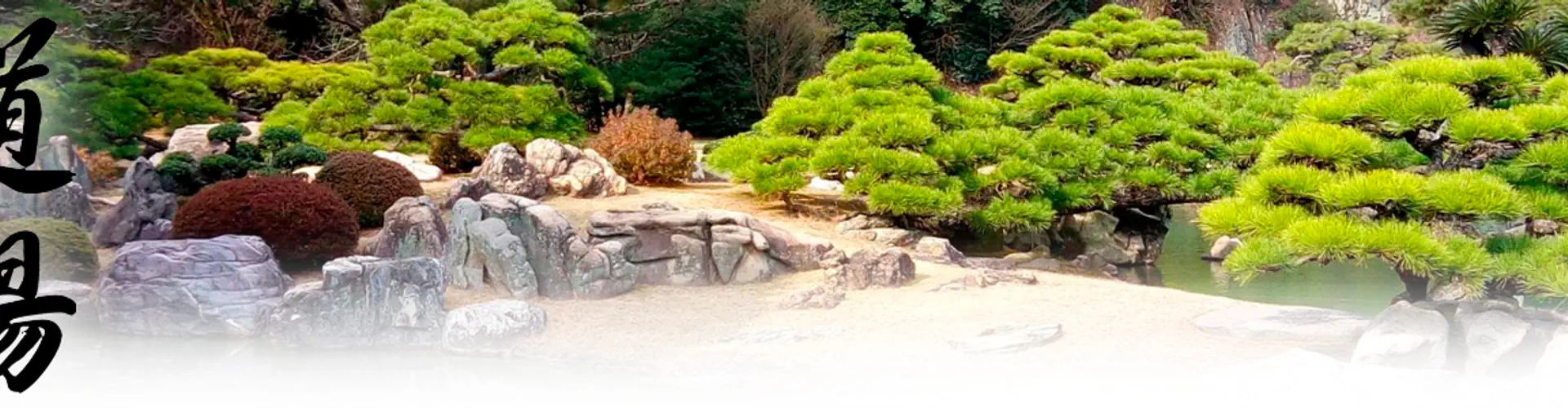 Dojo Historical Valence